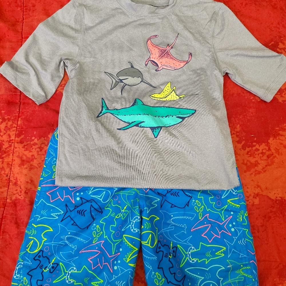 Shark Swim